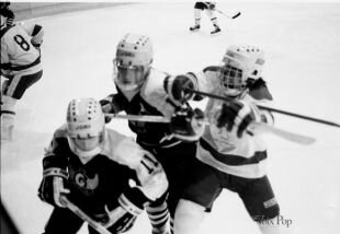 Trouvez un nom pour les équipes sportives 
du Cégep André-Laurendeau