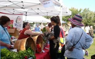 Tout au long de l'été, il sera possible de se procurer des fruits et des légumes frais dans les marchés saisonniers qui se tiendront dans l’arrondissement.