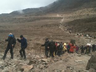 Les 30 grimpeurs sont toujours de l'aventure, en route vers le sommet du Kilimandjaro.